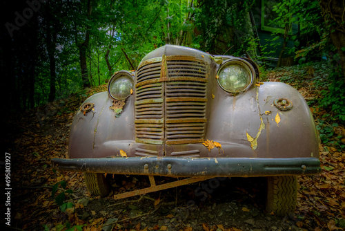 Canvastavla The abandoned cars in the forest