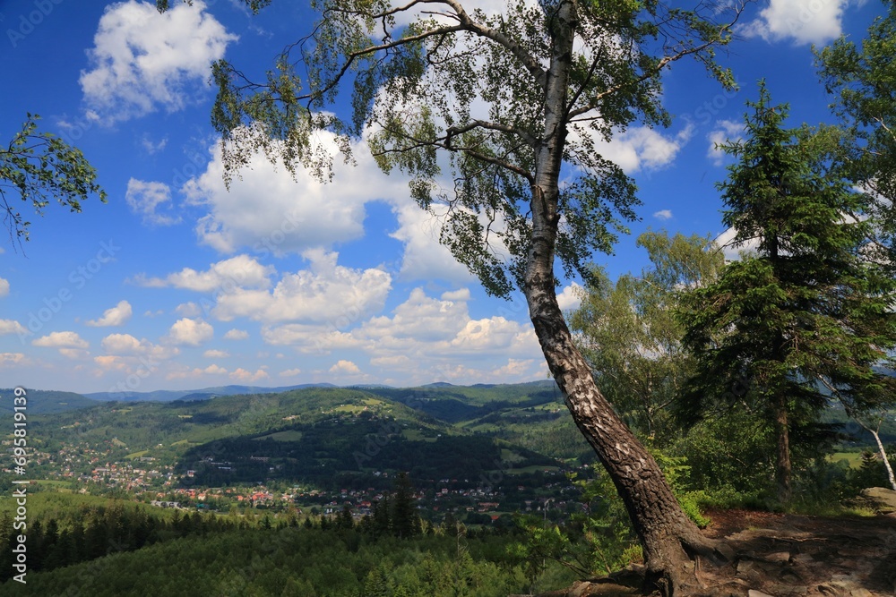 Birch tree over precipice in Beskidy, Poland Birch tree over precipice in Beskidy, Poland