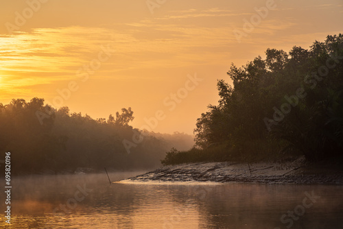 Colorful dawn landscape view of mangrove in Sundarbans national park, a UNESCO world heritage site, Bangladesh photo