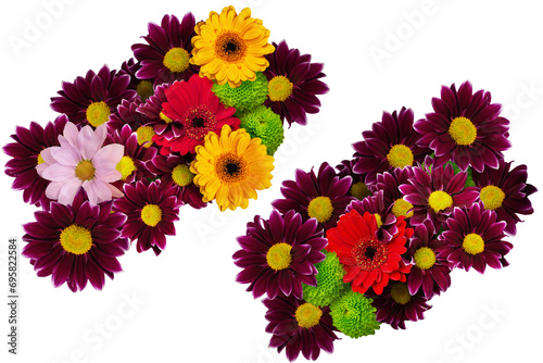 Chrysanthemum and gerbera flowers for top view decoration