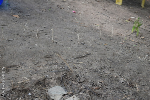 Wallpaper Mural Enjoying the mother nature Torontodigital.ca