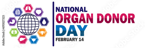 National Organ Donor Day Vector illustration. February 14. Holiday concept. Template for background, banner, card, poster with text inscription.