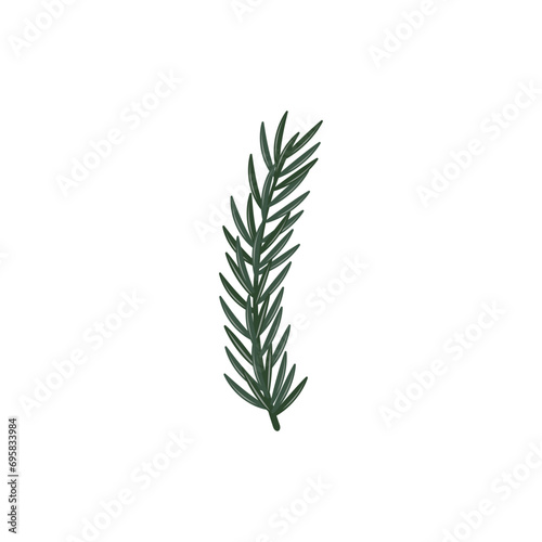Christmas Fir Branch on a white background in a flat simple style. Decorative botanical element. Vector