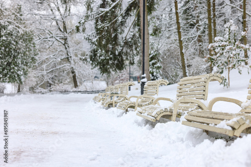 Beautiful trees covered with snow and benches in winter park, space for text