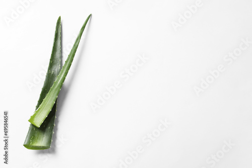 Green aloe vera leaves on white background  top view. Space for text