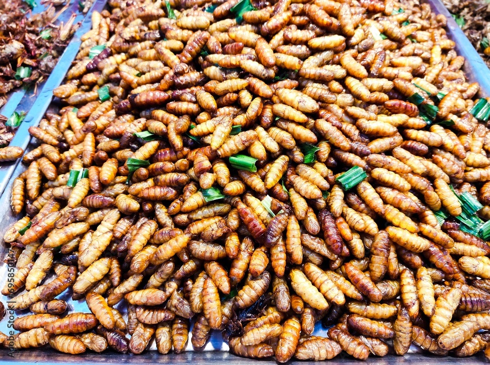 fried chrysalis on blur background.street food fried chrysalis on blur background.street food