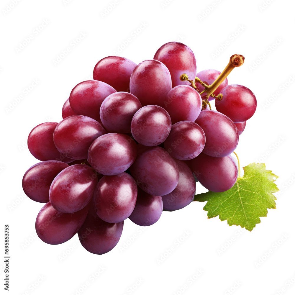 Fototapeta premium Grapes on transparent background. Design for packaging, vineries, wineyards, logos, marketing materials.