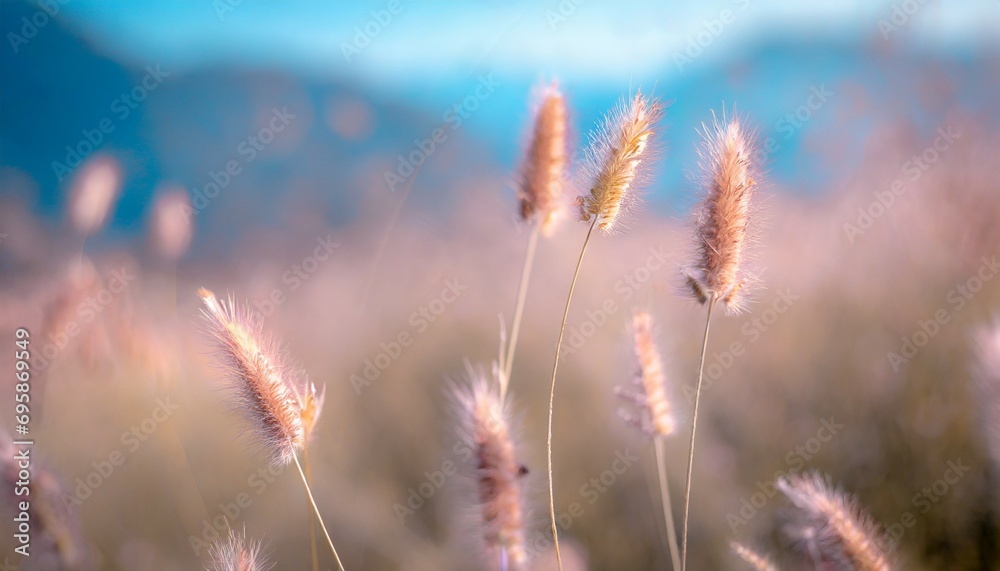grass flower in soft focus and blurred with vintage style for background