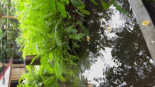 Beautiful calm spa oriental gardens and pavillion in the rain, stepping stones and Koi pond: Malahini Kuda Bandos, Maldives photo