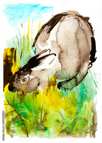 cute rabbit illustraion hand paited on a paper