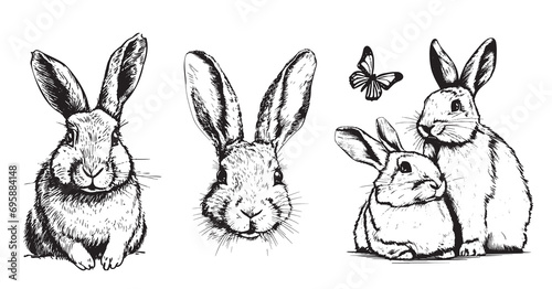 Cute Bunny set hand drawn sketch Farm animals