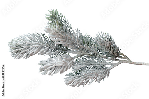 Frosty Christmas tree branch isolated on transparent background. Winter holiday design element photo