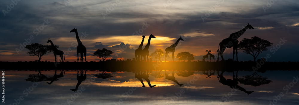 Panorama silhouette Giraffe family and tree in africa with sunset.Tree silhouetted against a setting sun.Typical african sunset with acacia trees in Masai Mara, Kenya.Reflection in water. - obrazy, fototapety, plakaty 