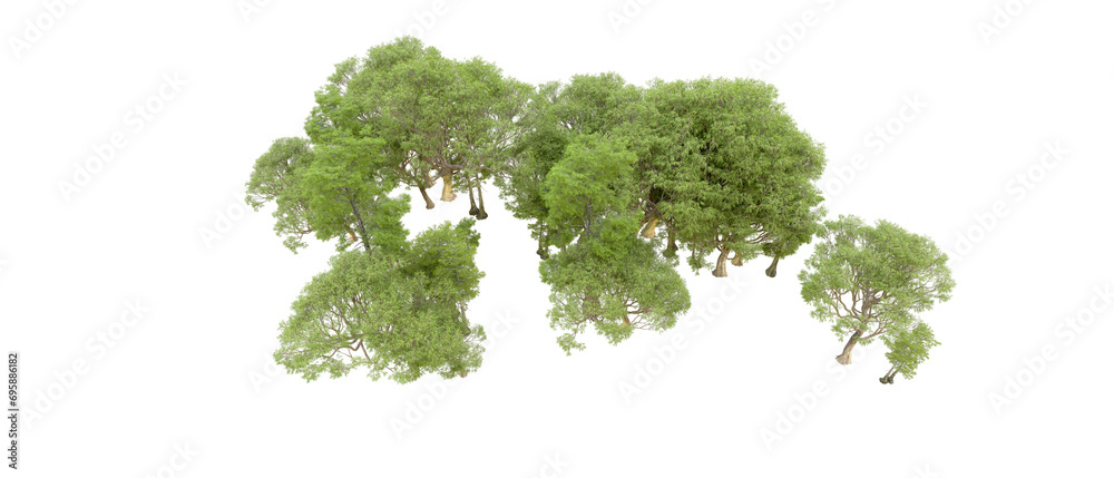 Green forest isolated on background. 3d rendering - illustration Green forest isolated on background. 3d rendering - illustration