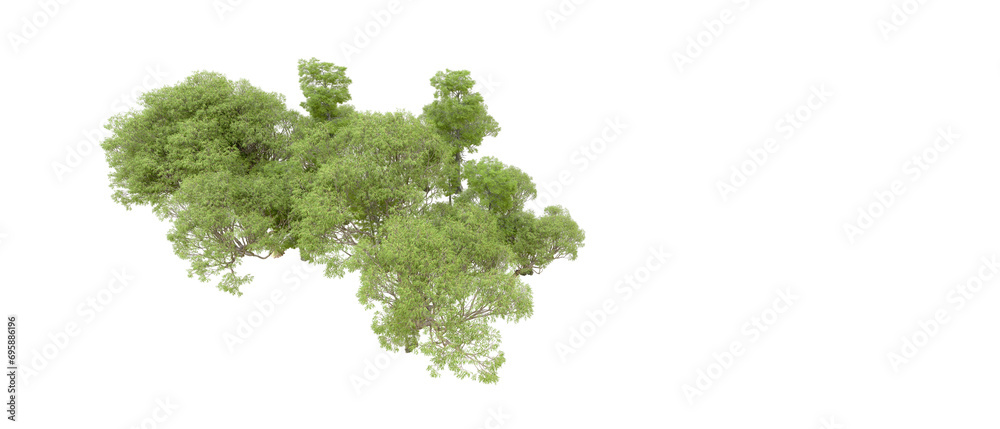 Green forest isolated on background. 3d rendering - illustration Green forest isolated on background. 3d rendering - illustration