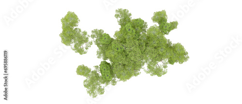 Green forest isolated on background. 3d rendering - illustration