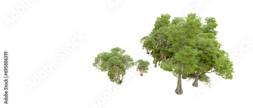 Green forest isolated on background. 3d rendering - illustration