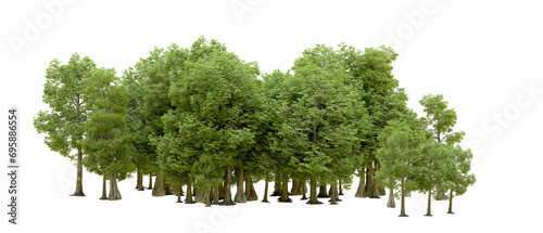 Green forest isolated on background. 3d rendering - illustration