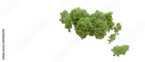 Green forest isolated on background. 3d rendering - illustration