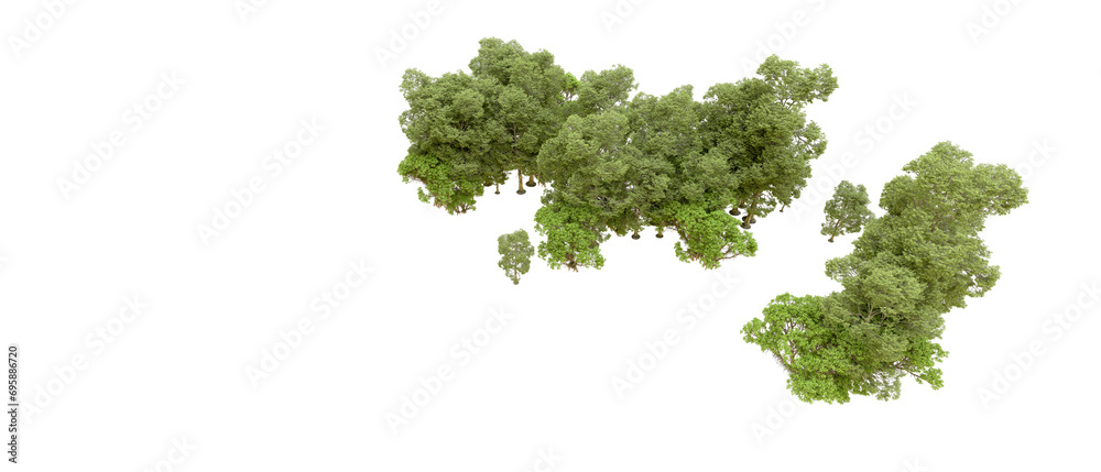 Fototapeta premium Green forest isolated on background. 3d rendering - illustration