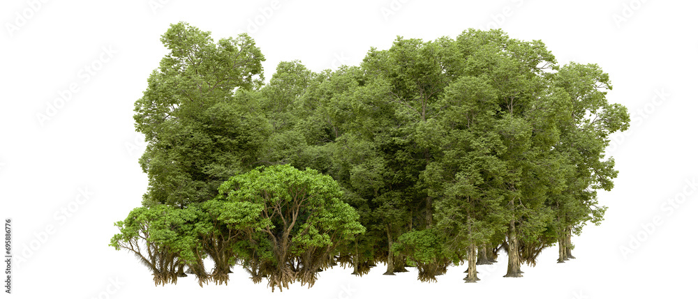 Obraz premium Green forest isolated on background. 3d rendering - illustration