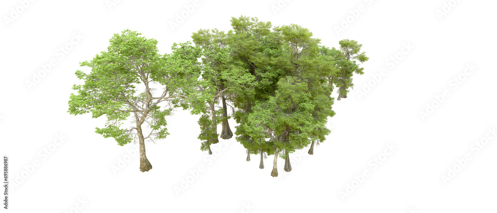 Obraz premium Green forest isolated on background. 3d rendering - illustration