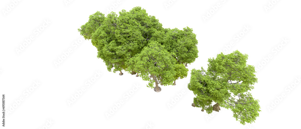 Green forest isolated on background. 3d rendering - illustration Green forest isolated on background. 3d rendering - illustration