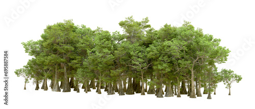 Green forest isolated on background. 3d rendering - illustration photo