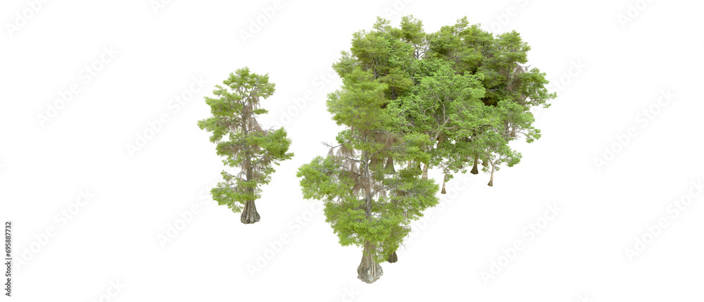 Fototapeta premium Green forest isolated on background. 3d rendering - illustration