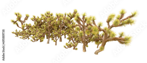 Green forest isolated on background. 3d rendering - illustration