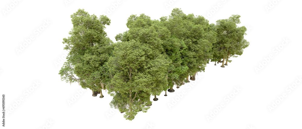 Fototapeta premium Green forest isolated on background. 3d rendering - illustration