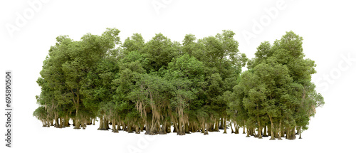 Green forest isolated on background. 3d rendering - illustration