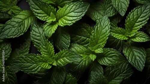 Generated AI. A close-up shot of pepper mint leaf surface, texture background. photo