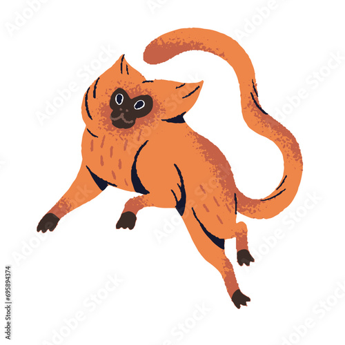 Golden lion tamarin or marmoset. Playful fluffy primate jumping. Funny furry monkey with cute muzzle, long tail fooling. Adorable jungle animal. Flat isolated vector illustration on white background