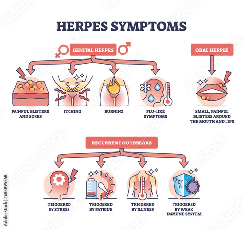 Herpes symptoms with genital, oral or recurrent outbreak outline diagram. Labeled educational scheme with blisters and sores, itching and burning from stress or weak immune system vector illustration