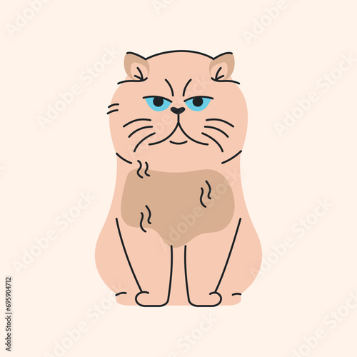 Persian cat sitting color element. Cartoon cute animal.