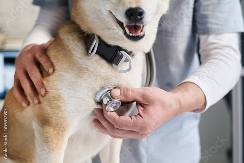 Photography Unknown caucasian male vet listening to heartbeat of dog patient using stethosco