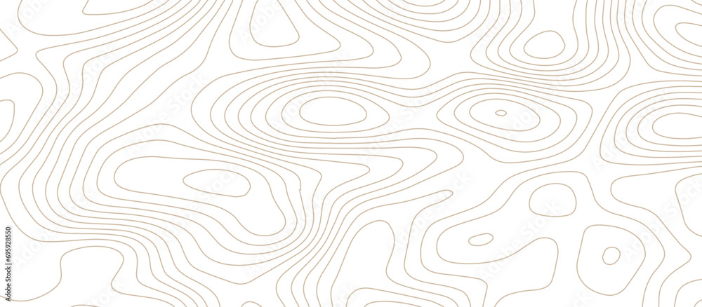 abstract White wave paper curved reliefs background .Panorama view gradient multicolor wave curve lines banner background design. Vector illustration. wave Line topography map contour background. abstract White wave paper curved reliefs background .Panorama view gradient multicolor wave curve lines banner background design. Vector illustration. wave Line topography map contour background.