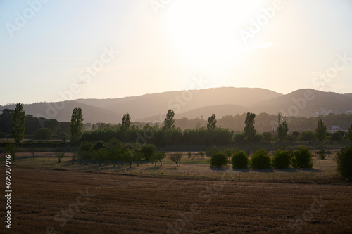 Landscape with trees and hills on the background near Palamos, Spain in the late afternoon.