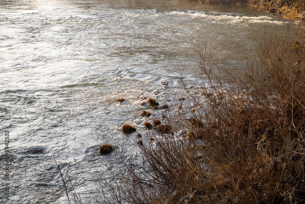 Strong river current with lots of rocks and shrubs in winter Strong river current with lots of rocks and shrubs in winter