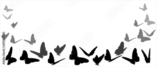 Background illustration silhouete butterflies vector, isolated on white background eps 10 photo