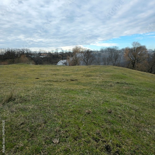 A grassy field with trees and a rock wall in the background