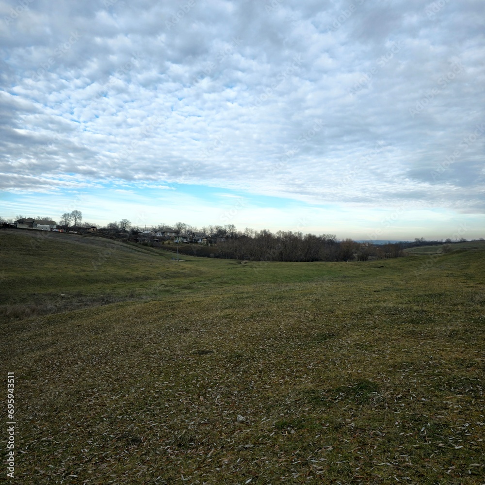 Obraz premium A field with grass and trees