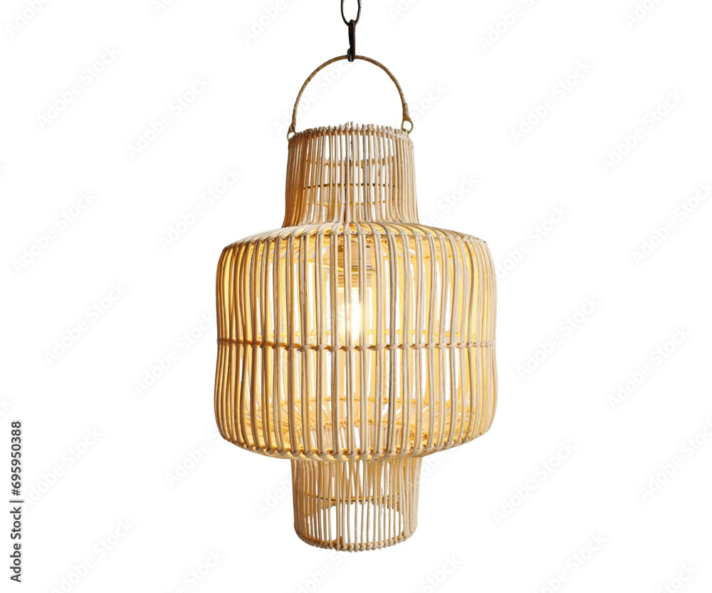 Image of Classic Pendant Light
