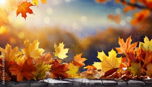 fall background with autumn maple leaves
