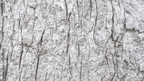Pattern of dried old bark wood in Thailand.Cracked wood texture big tree surface.Template for design.Abstract nature background.Beautiful pattern.Space for work.Banner.Wallpaper.Selective focus.