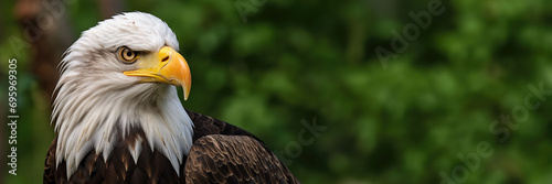 A bald eagle with American emblems 