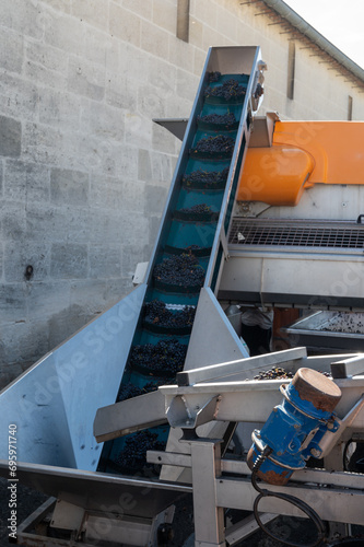 Harvest equipment and works in Saint-Emilion wine making region on right bank of Bordeaux, picking, sorting with hands and crushing Merlot or Cabernet Sauvignon red wine grapes, France