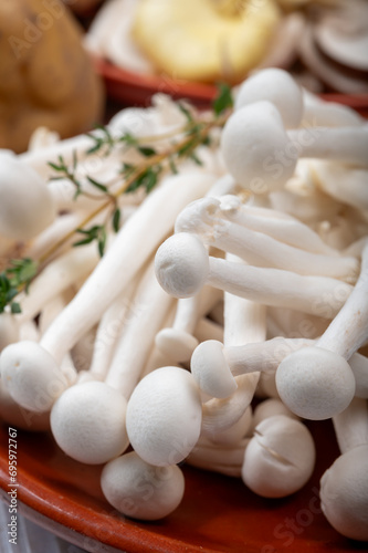 White shimeji edible mushrooms native to East Asia, buna-shimeji is widely cultivated and rich in umami tasting compounds. Mushrooms mix for cooking.