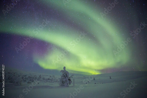 Northern lights in Pallas Yllastunturi National Park, Lapland, Finland photo